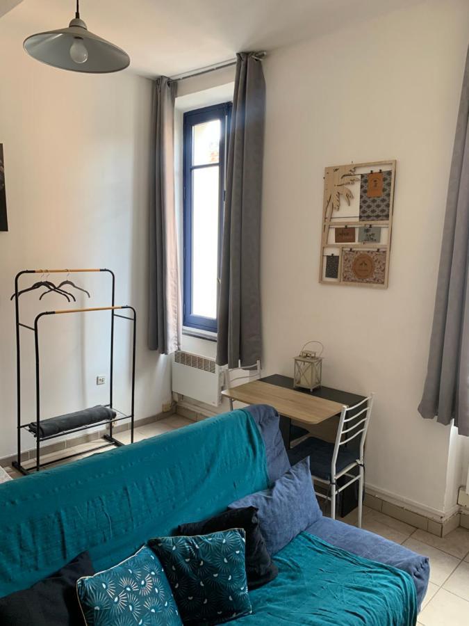 Studio En Plein Centre 卡尔卡松 外观 照片